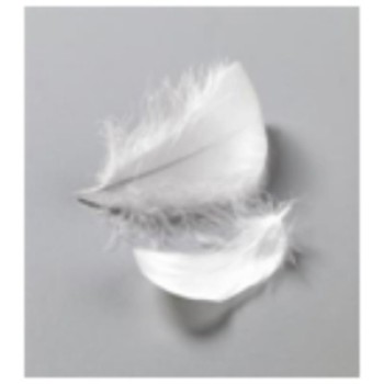 FEATHERS EFCO 1004201 WHITE (10 gr) FEATHERS EFCO 1004201 WHITE (10 gr)